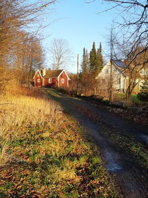 I det gula huset bor jag med mina två hundar