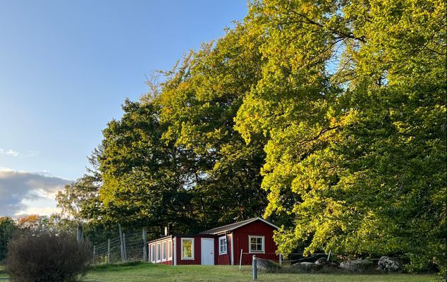 Porten till Österlen i unik miljö. - Bild 6