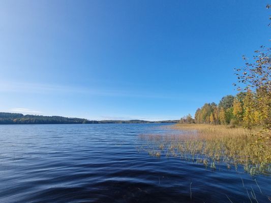 Mysig stuga i Hassela, Hälsingland - Bild 19