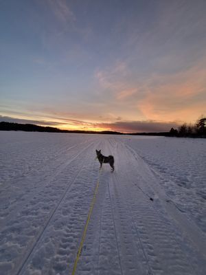 Mysig stuga i Hassela, Hälsingland - Bild 20