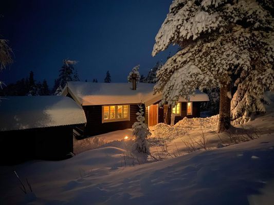 Stuga med vedeldad bastu i Näsfjället