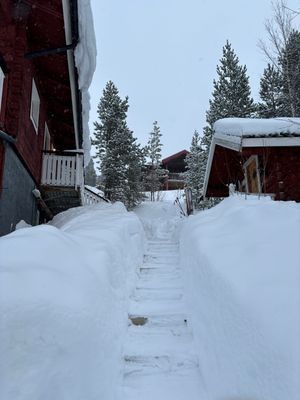 Rymlig lägenhet i Björnrike. Ski-in / ski-out - Bild 11