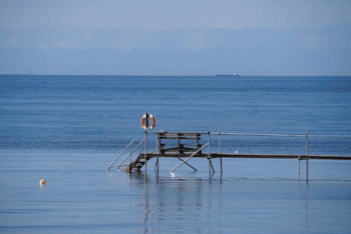 Strandnära stuga i Beddingestrand nära Ystad - Bild 14