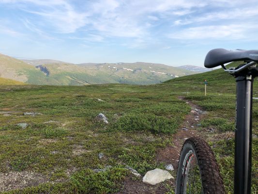 Fantastisk cykling, löpning och vandring sommartid