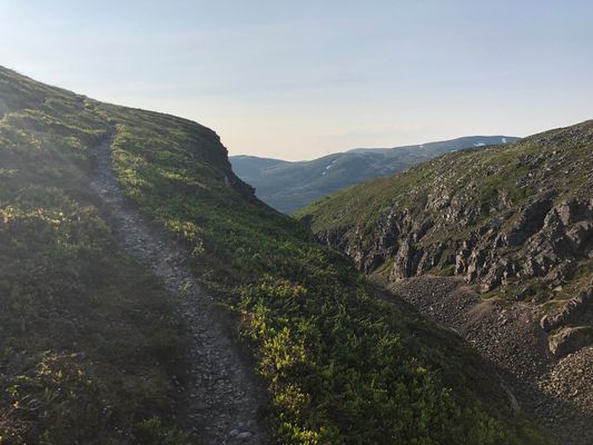 Fantastisk natur i Bydalen med miltals med vandringsleder