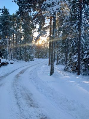 Lantlig exklusiv villa vid sjö - Bild 36