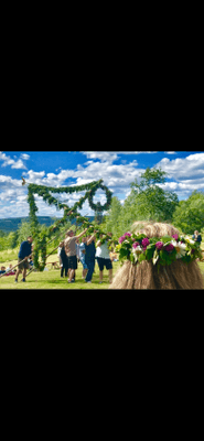 Stuga med strandtomt o söta ponnyer på gården - Bild 24