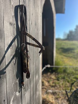 Stuga med strandtomt o söta ponnyer på gården - Bild 35