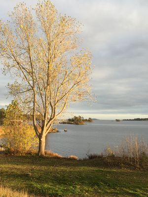 Mysig stuga i skärgården vid Figeholm - Bild 16