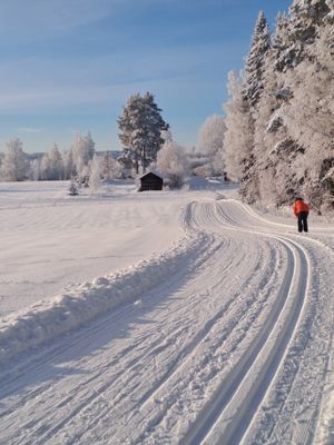 Skidspår i Silverberg, 3 km från stugan