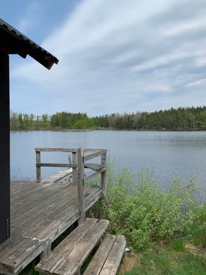 Stuga vid sjö och vacker natur och lugnt - Bild 6