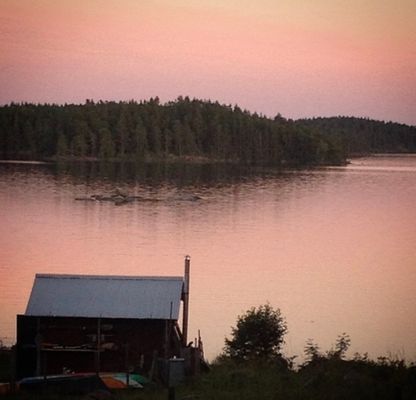 Ydretorpet - Lopperyd vid Östra Lägern - Bild 25