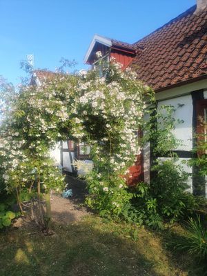 Skånelänga vid porten till Österlen