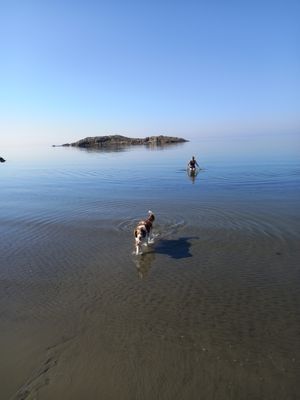 Trivsamt fritidshus nära havet. - Bild 20