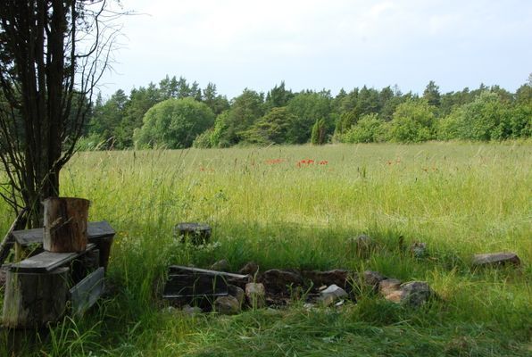 Bulhus på Gotland nära Visby - Bild 15