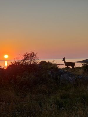 Trivsamt fritidshus nära havet. - Bild 22