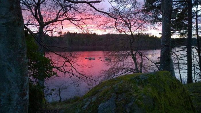 F01/Bokhöjden - Stuga vid insjö - Bild 25