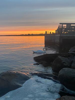 Mysig och bekväm stuga nära havet - Bild 13