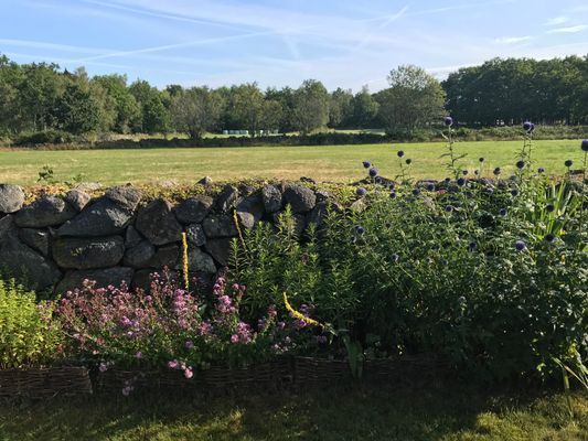 Utsikt baksidan av huset