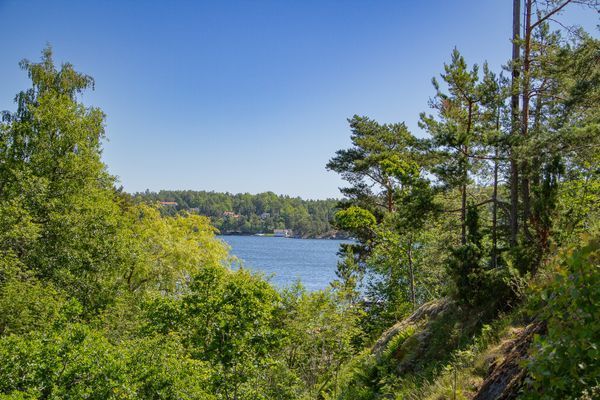 Nyrenoverat hus, egen brygga, sjöutsikt - Dalarö - Bild 10