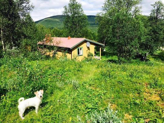 Hyr denna stuga i Tänndalen på 63 m². 6 sängplatser. 4 500 - 10 000 kr per vecka. Se bilder och tillgänglighet här.