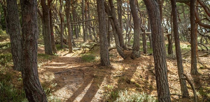 Njut av stranden i Havsbaden Ängelholm - Bild 47