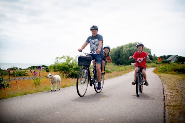 Stuga med 6 bäddar i Haverdal/Halmstad