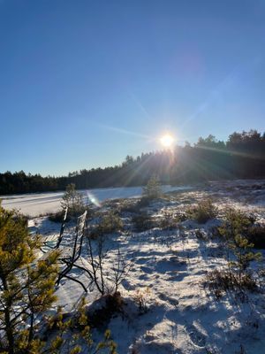 Mysig stuga i skogen nära fiske och natur! - Bild 6