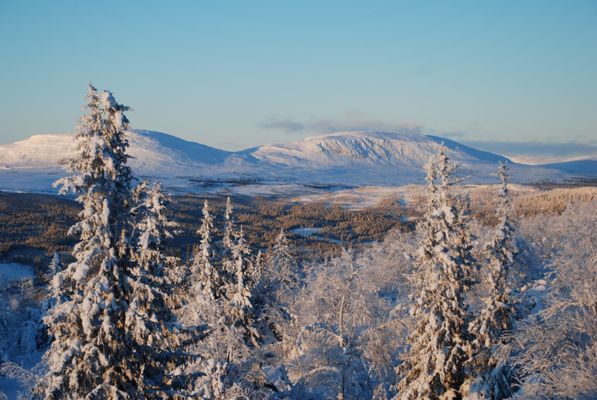 Toppen-läge i Hamra/Tänndalen! - Bild 15