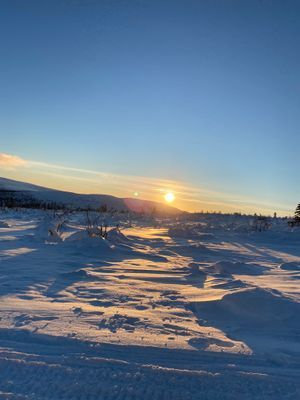 Mysig stuga på Vemdalsskalet, Stockåvallen - Bild 20