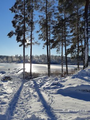 Vinterbild på Hultasjön, 13 januari 2021