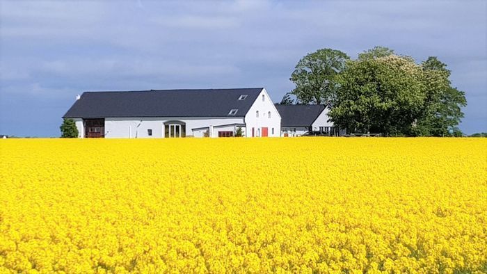 Hyr denna stuga i Löderup på 80 m². 4-5 sängplatser. 10 360 - 12 950 kr per vecka. Se bilder och tillgänglighet här.