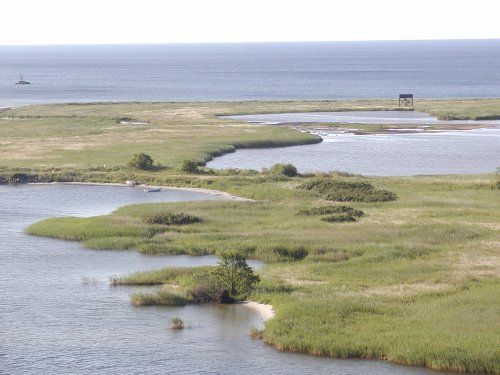 Fågeltornet i naturreservatet 2km