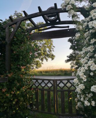 Utsikt, om man tittar över häcken så ser man havsglimt