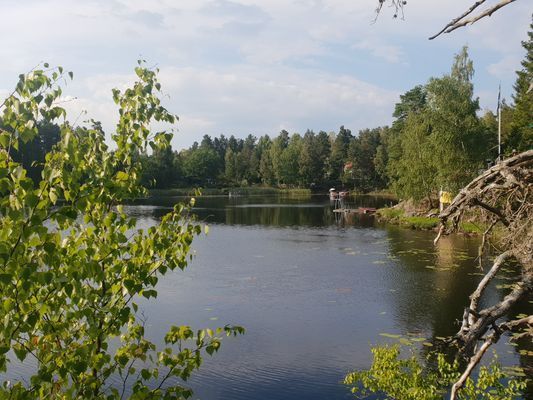 Mysig stor Villa med egen brygga vid sjö och natur - Bild 55