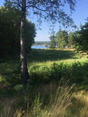 Sommar hus dröm i skärgården för uthyrning - Bild 8