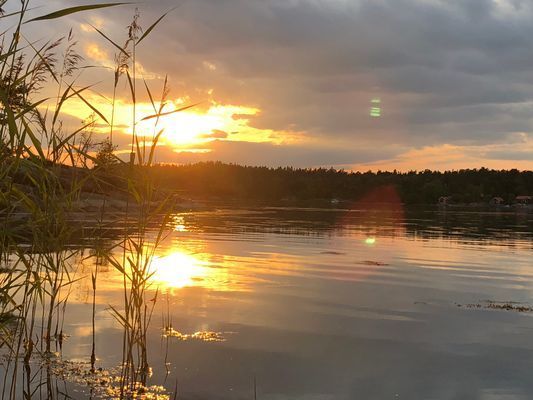 Sommar hus dröm i skärgården för uthyrning - Bild 11