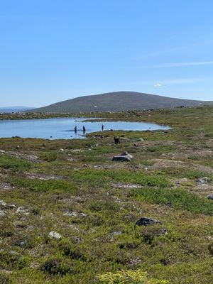 Fin lägenhet nära till slalombacken Grövelfjäll - Bild 16