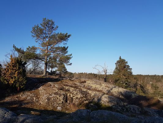 Hyr denna stuga i Värmdö på 56 m². 4-7 sängplatser. Pris ej tillgängligt. Se bilder och tillgänglighet här.