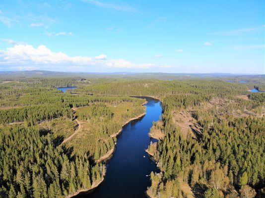 Torp med sjöläge vid kanotleden Svartälven, bastu - Bild 47