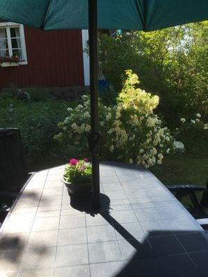 Röd stuga i Småland m egen brygga och roddbåt - Bild 12