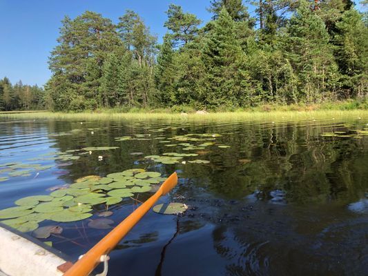 Stuga i smålandsskogen - Bild 27