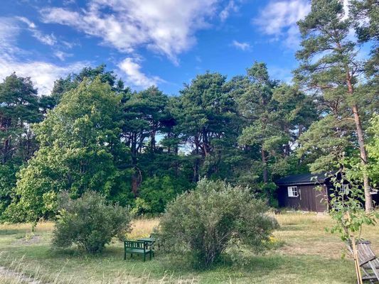 Sommarhus i Valleviken, Gotland - Bild 23