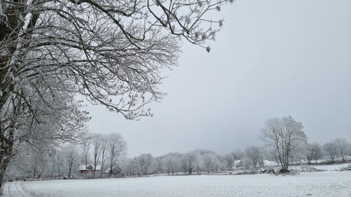 Rogivande boende i 1800-talsmiljö - Bild 41