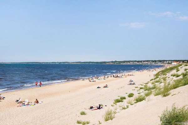 Njut av stranden i Havsbaden Ängelholm - Bild 50