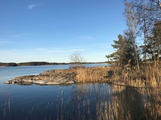 En stuga vid havet i Gryts Skärgård - Bild 6