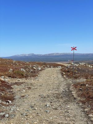 Många markerade vandring/cykelleder