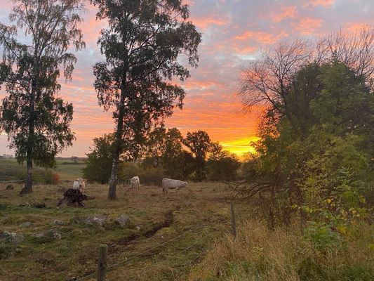 Charmig Skånelänga vid Råådalen - Bild 21