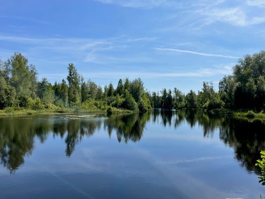 Hyr denna stuga i Tingsryd på 140 m². 10-14 sängplatser. 7 000 - 20 000 kr per vecka. Se bilder och tillgänglighet här.