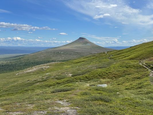 Städjan på sommaren